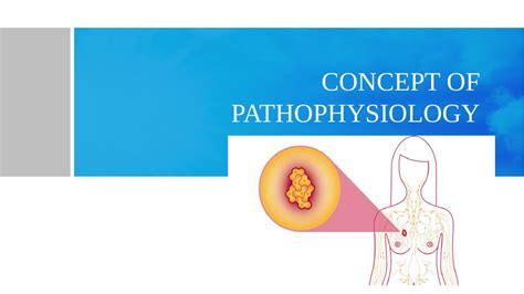 Understanding The Pathophysiology Of Diseases
