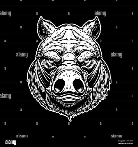 Illustration Of Head Of Wild Angry Boar In Vintage Monochrome Style