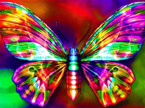 Neon Butterfly Colors Galore 2 Pinterest Rainbows Butterflies And Neon
