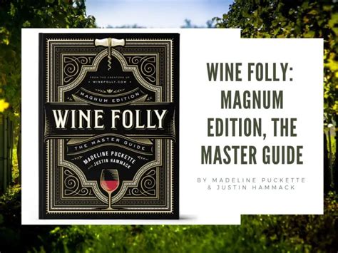 Review New Wine Folly Book Magnum Edition The Master Guide Wine