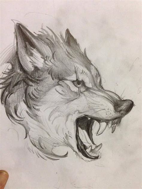 Pin By Евгений Белов On Животные Wolf Sketch Wolf Drawing Animal