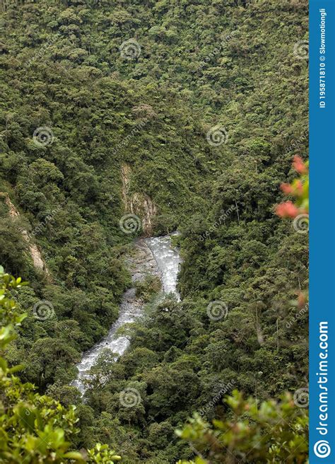 Tropical Forest And Waterfalls In Manu National Park Peru Stock Photo