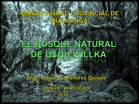 We did not find results for: Bosque de Usqu willka / Osqowillka Quinua-Ayacucho by ...