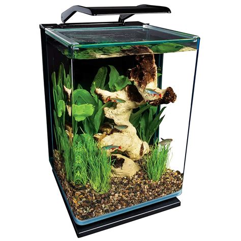 7 Best Rimless Aquariums To Choose From In 2023