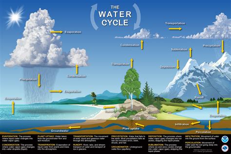Water Cycle Us Climate Resilience Toolkit