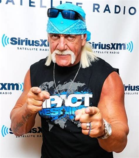 Hulk Hogan Refiles 100 Million Sex Tape Lawsuit Against Gawker Live Online News Stream