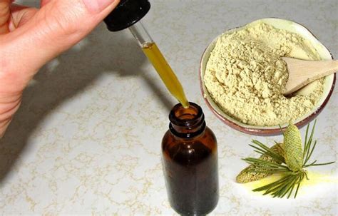 So basically when you take pine pollen as a tincture and let it absorb through the mucous membranes into the bloodstream, you're literally getting a hefty amount of those. Make Your Own Pine Pollen Tincture - Pine Pollen Powder ...