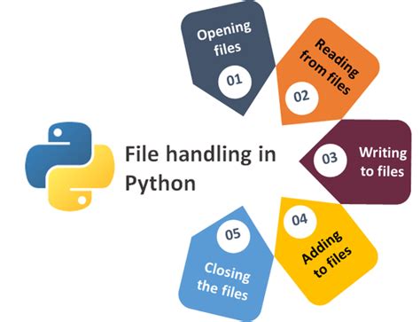 Python File I O Codementor