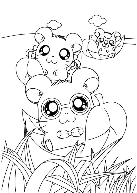 Anime coloring pages cute anime chibi coloring pages for kids. Hamtaro funny anime coloring pages for kids, printable ...