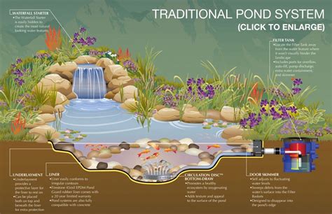 Exterior Traditional Pond System Schematic Design Ideas With Images