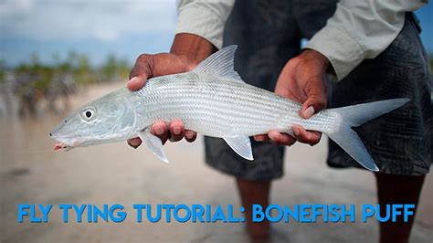Fly Tying The Bonefish Puff Fly Youtube