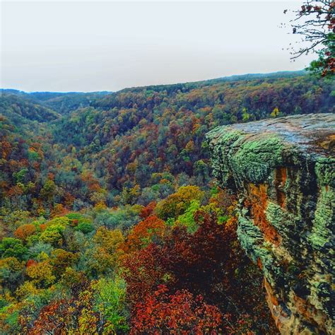 Ozark National Forest In Arkansas Tours And Activities Expedia