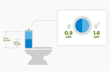 Ensuring Proper Water Flow In Dual Flush Toilets Sample