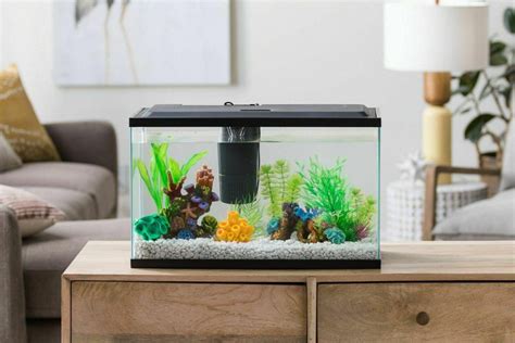 Best 10 Gallon Fish Tankaquariums Reviews Setup Ideas And Equipment