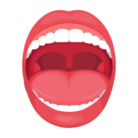 Uvula Stock Photos Pictures And Royalty Free Images Istock