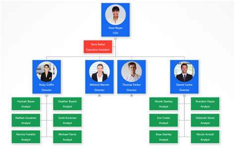 How To Add Org Chart Colors That Fit Your Brand Org Chart Software