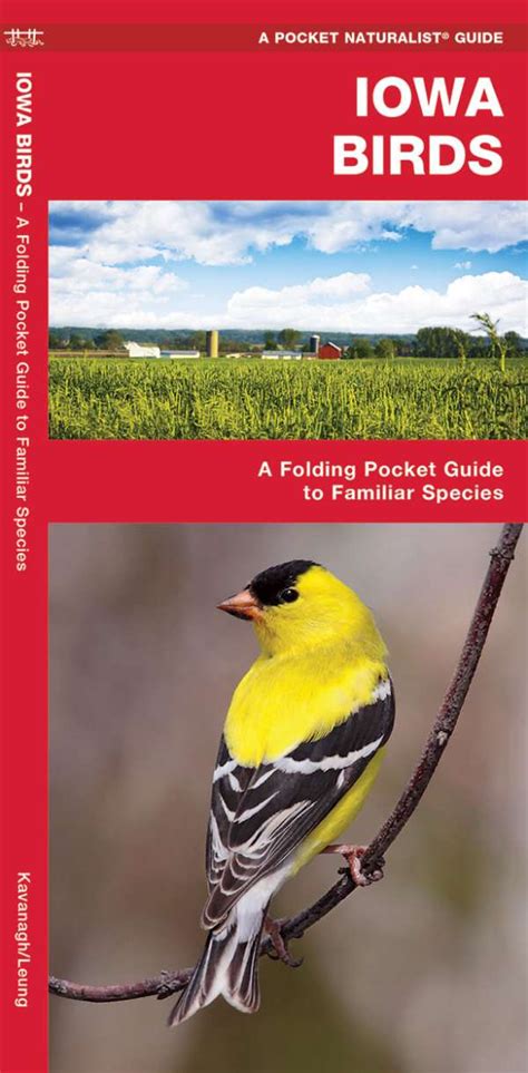 Iowa Birds A Pocket Naturalist Guide