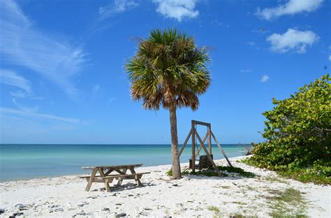 Honeymoon Island State Park, Dunedin Florida | Florida vacation, Beach