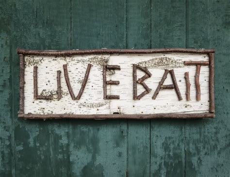 Live Bait Stock Photo Image Of Live Fishing Sign Tackle 26151776
