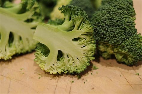 Broccoli Flickr Photo Sharing