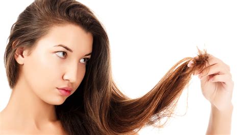 How To Prevent And Fix Split Ends Without Cutting Your Hair