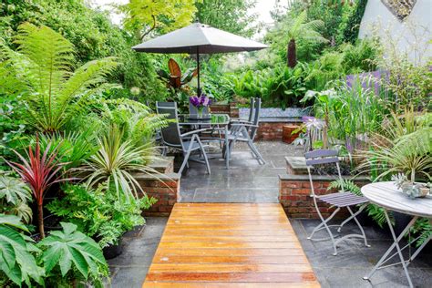 3 Plantes Exotiques Pour Une Terrasse Tropicale Détente Jardin