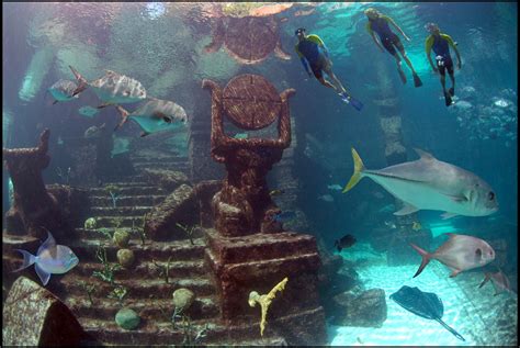 Atlantis Paradise Island Diving Lost City Of Atlantis Water Adventure