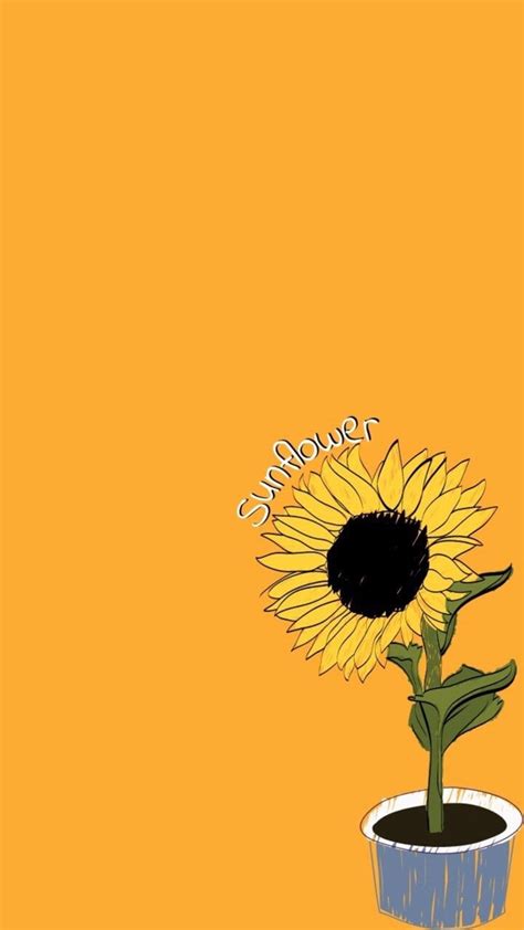 🔥 Download Aesthetic Yellow Sunflower Background Hd By Jonathans18