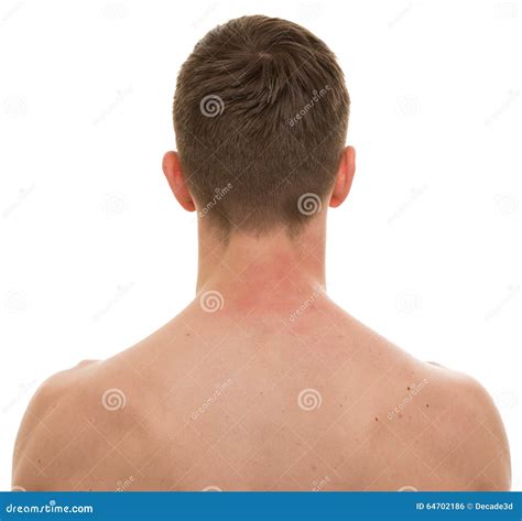 Male Neck Back Isolated On White Real Anatomy Royalty Free Stock