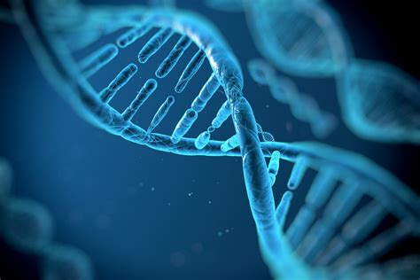 14 Ejemplos De Ácidos Nucleicos Son La Base De La Genetica