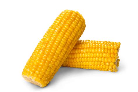 Corn Png Image With Transparent Background Free Png Images