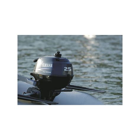 Moteur Bateau Yamaha 15 Cv Occasion Cv Galerry