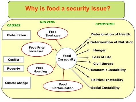Instead, it's often at the intersection of physical, mental, and socioeconomic factors. Plant Biotechnology and Food Security
