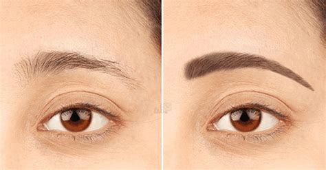 How To Grow Thicker And Attractive Eyebrows The Polka Dot Daisy