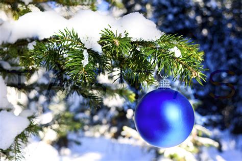 Blue Christmas Ornament Hanging On Forest Tree Branch 177123
