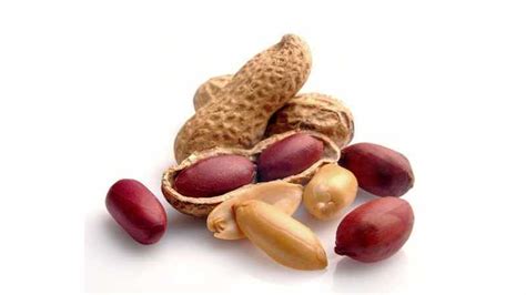 Here is an updated list of all the free food currently available! Peanuts - Food Allergy Canada