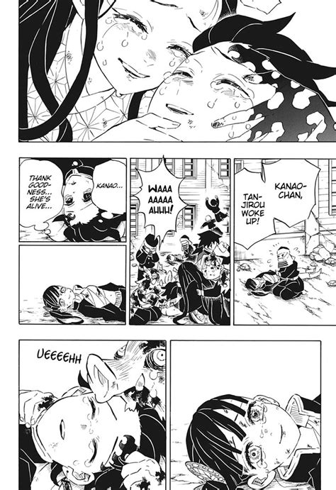 Demon Slayer Kimetsu No Yaiba Chapter 203 Demon Manga Covers Slayer