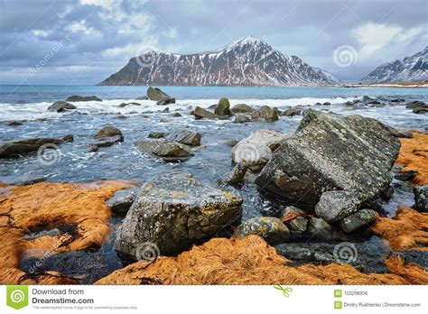 Rocky Coast Of Fjord In Norway Stock Photo Image Of Norwegian