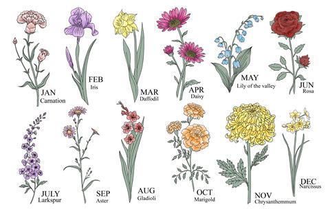 Flowers Of The Month Birth Flowers Image To U
