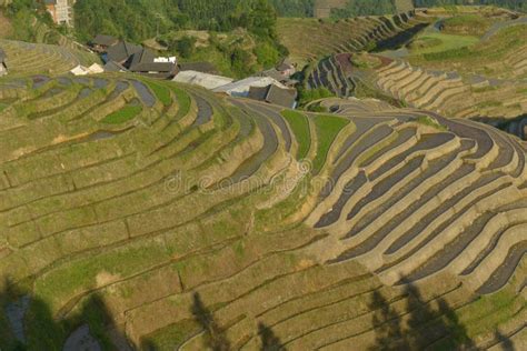 Longji Rice Terraces Guangxi Province China Stock Image Image Of