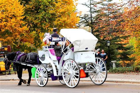 Central Park Horse Carriage Tour In New York Klook India