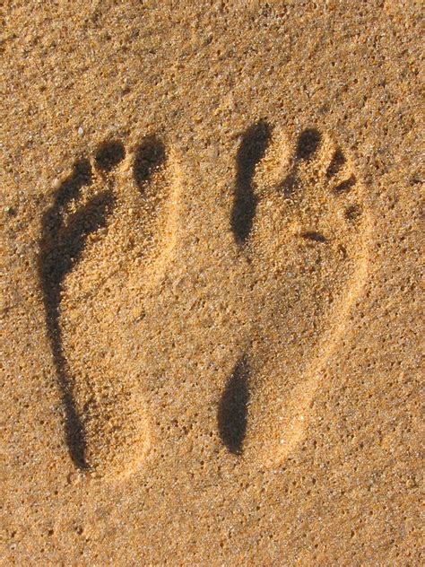 Footprints In The Sand Pictures To Buy Footprints In Sand Free Stock