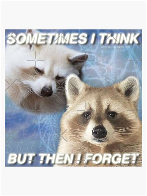 Sometimes I Think But Then I Forget Raccoon Meme Sticker For Sale By