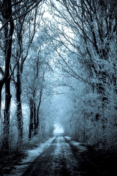 A Mysterious Winter Photograph These Are Amazing Circumstances To Do