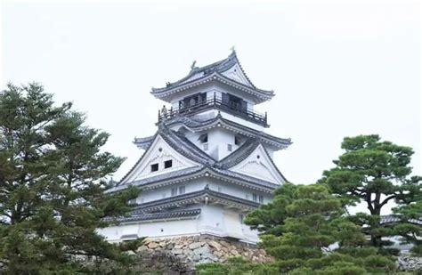 Kochi Castle An Elegant Castle From The Edo Period Japan Travel