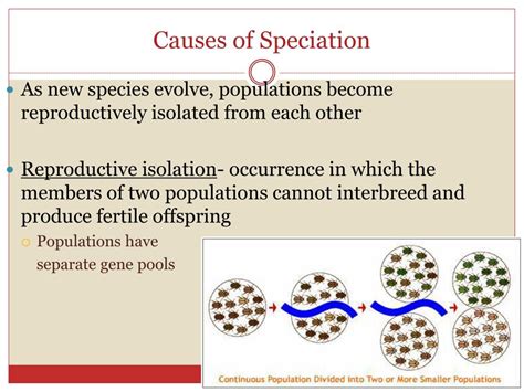 Ppt Evolution And Speciation Powerpoint Presentation Free Download
