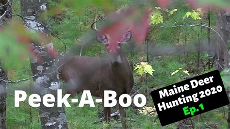 Maine Deer Hunting 2020 Expanded Archery Ep 1 Youtube