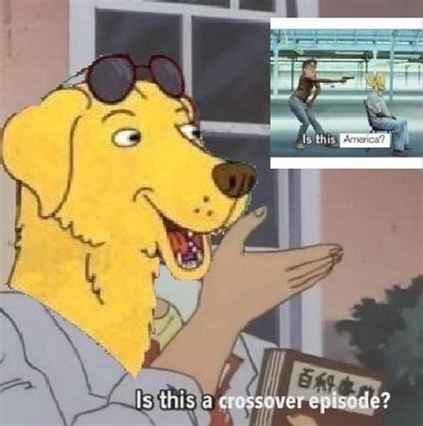 Is This A Crossover Episode Rbojackhorseman