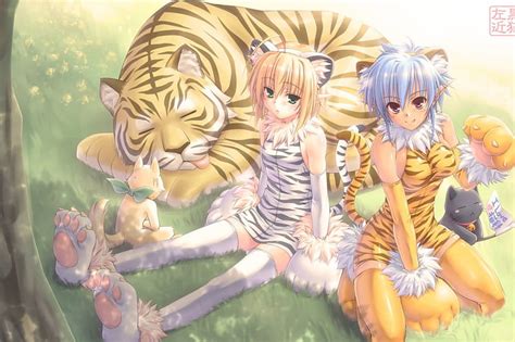 Aggregate Tigress Anime Ceg Edu Vn