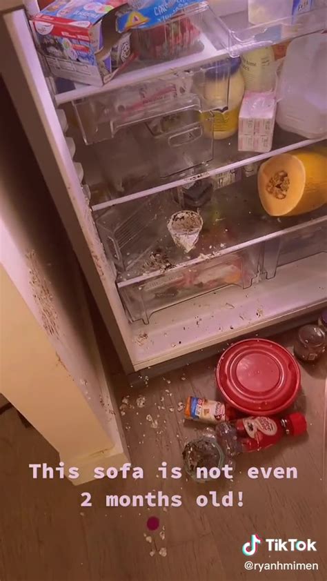 Mum Horrified After Babe Breaks Into The Fridge For A Snack And Thats Just The Start Of Her